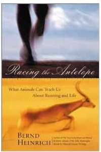 Racing the Antelope: What Animals Can Teach Us about Running and Life