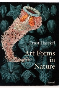 Книга Art Forms in Nature: The Prints of Ernst Haeckel