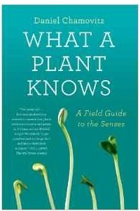 Книга What a Plant Knows: A Field Guide to the Senses