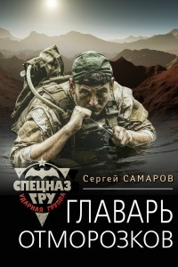 Книга Главарь отморозков