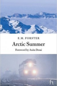 Книга Arctic Summer