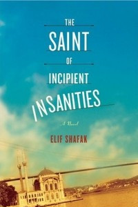 Книга The Saint of Incipient Insanities