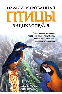 Книга Птицы