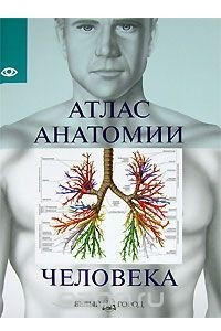 Книга Атлас анатомии человека