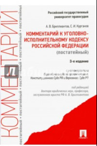 Книга Комментарий к Уголовному исполнительному кодексу Российской Федерации (постатейный)