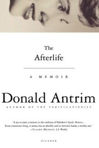 Книга The Afterlife