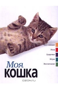 Книга Моя кошка