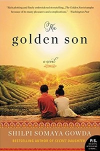 Книга The Golden Son