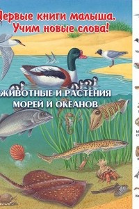 Книга Животные и растения морей и океанов