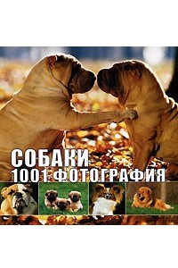 Книга Собаки. 1001 фотография