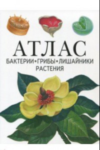 Книга Атлас. Бактерии, грибы, лишайники, растения