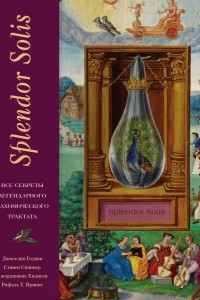 Книга Splendor Solis. Все секреты легендарного алхимического трактата