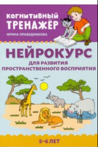 Книга Нейрокурс для развития пространственного восприятия. 5-6 лет