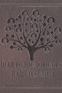 Книга Большая родословная книга нашей семьи