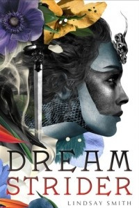Книга Dreamstrider