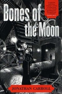 Книга Bones of the Moon