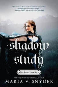 Книга Shadow Study