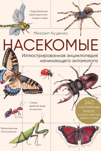 Книга Насекомые. Иллюстрированная энциклопедия начинающего энтомолога. 240 популярных видов, которые обитают рядом с нами