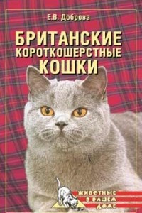 Книга Британские короткошерстные кошки