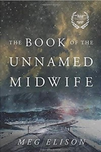 Книга The Book of the Unnamed Midwife