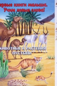 Книга Животные и растения пустыни