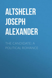 Книга The Candidate: A Political Romance