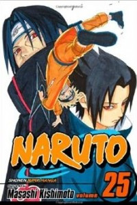 Naruto, Vol. 25: Brothers
