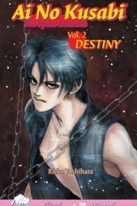 Ai No Kusabi The Space Between Volume 2: Destiny