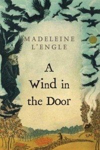Книга A Wind in the Door