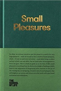 Книга Small pleasures