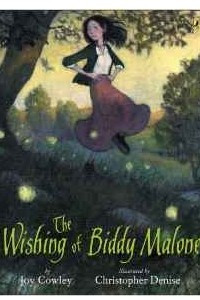 Книга The Wishing of Biddy Malone