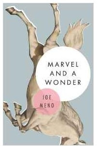 Книга Marvel and a Wonder