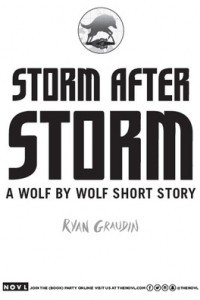 Книга Storm After Storm