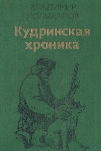 Книга Кудринская хроника