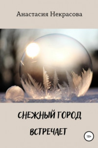 Книга Снежный город встречает