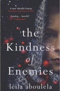 Книга The Kindness of Enemies