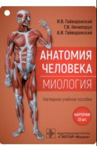 Книга Анатомия человека. Миология. Комплект карточек. Наглядное учебное пособие