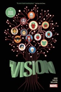 Книга The Vision