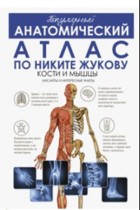 Популярный анатомический атлас по Никите Жукову. Кости и мышцы. Инсайты и интересные факты