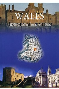 Книга Wales: History of a Nation