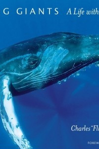 Книга Among Giants: A Life with Whales
