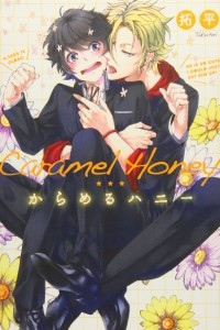 Книга からめるハニー / Caramel Honey