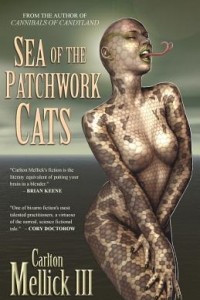 Книга Sea of the Patchwork Cats