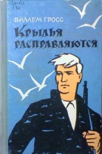 Книга Крылья расправляются