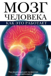Книга Мозг человека. Как это работает