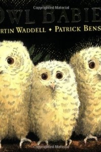 Книга Owl Babies