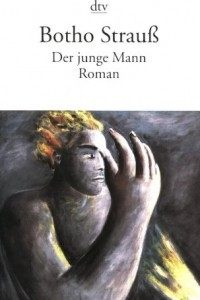 Книга Der junge Mann