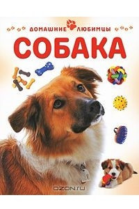 Книга Собака