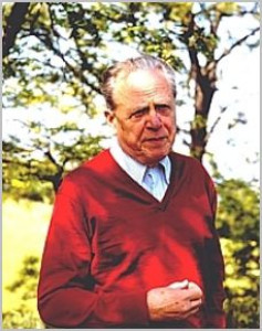 Автор - Лео Мулен