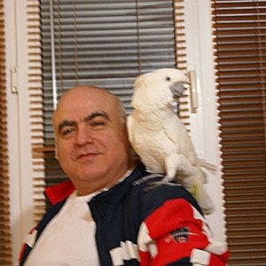 Автор - Сайфулла Мамаев